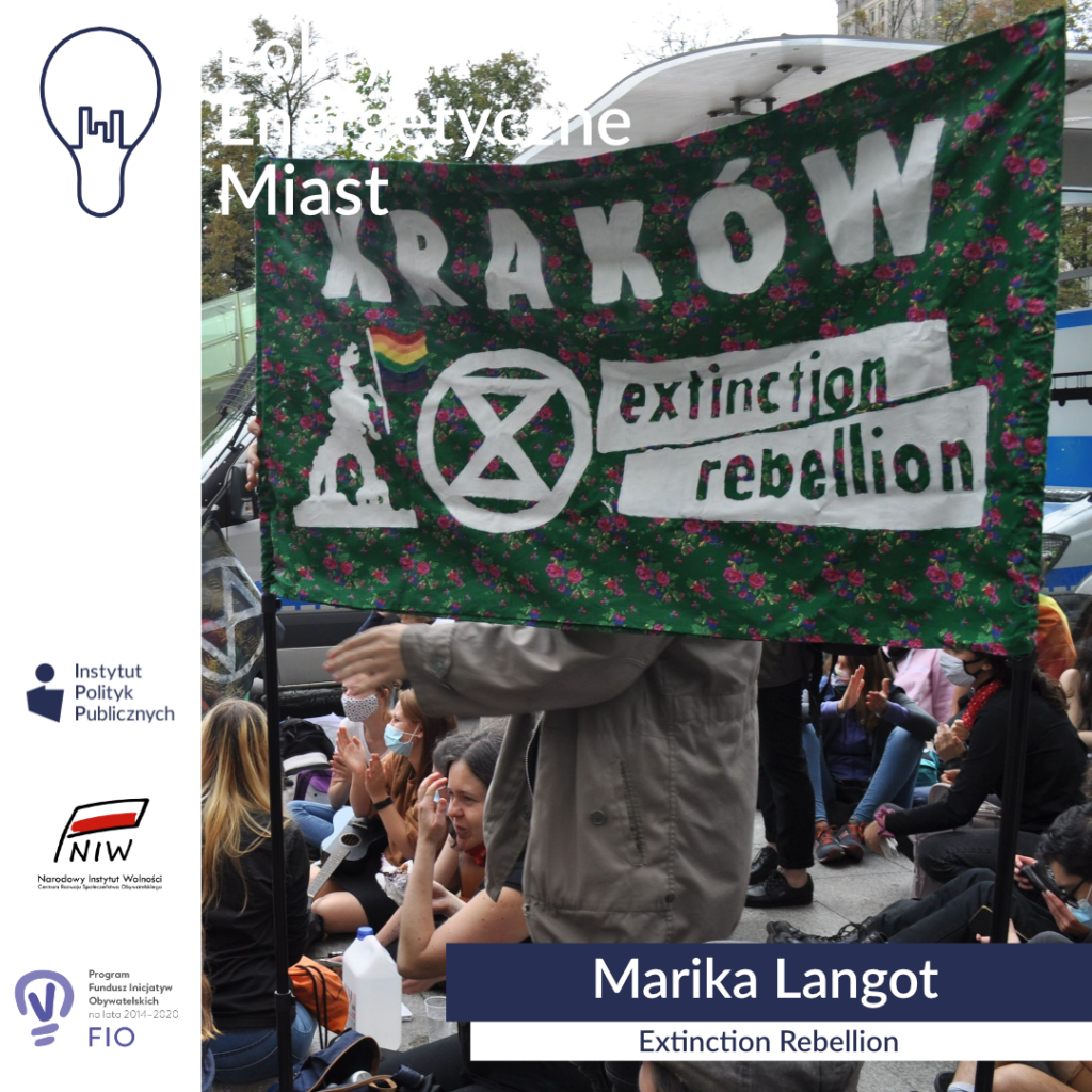 IPP_energetyka__Marika Langot