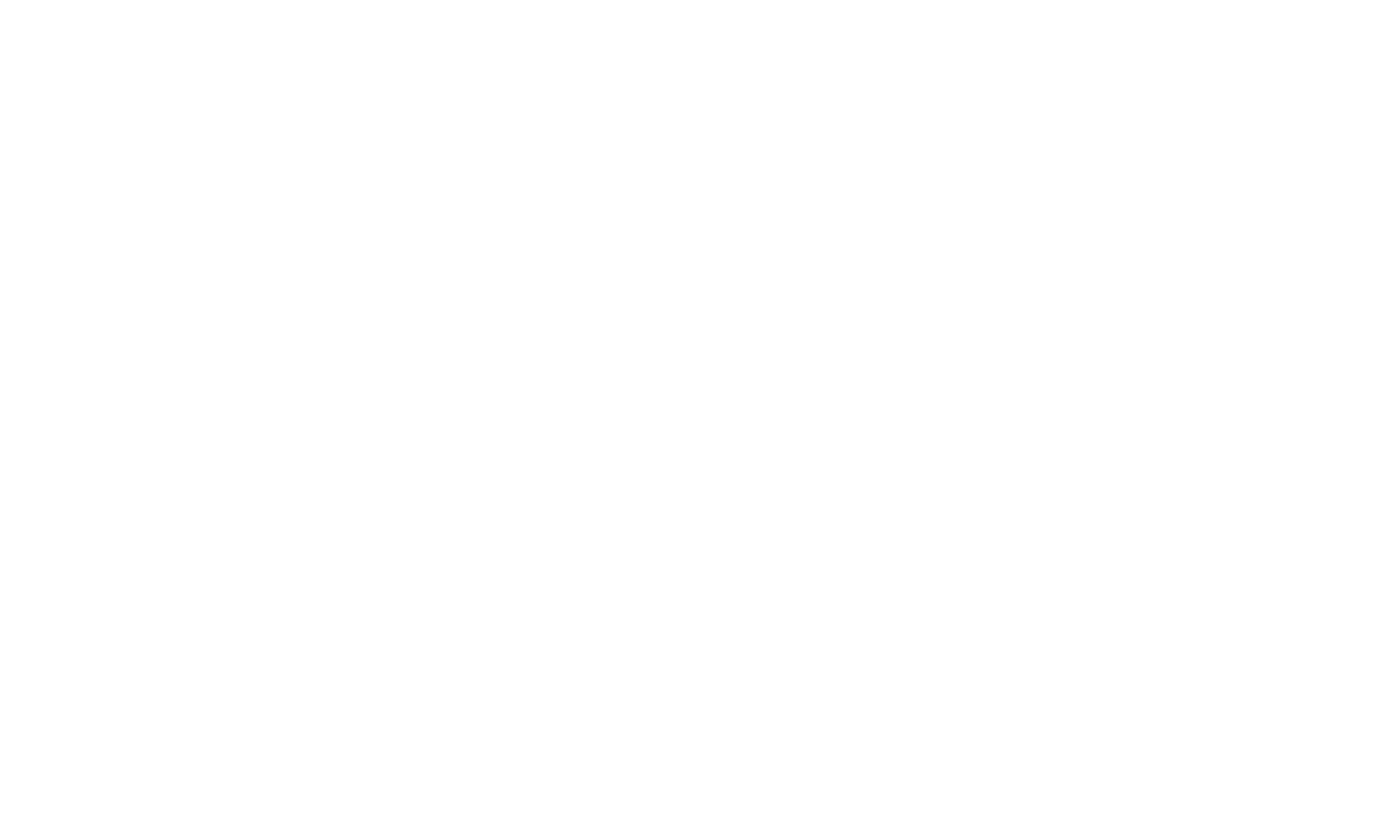 Instytut Polityk Publicznych